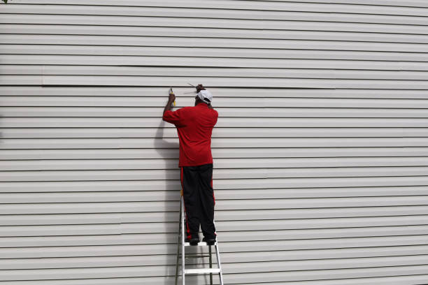 Best Siding Removal and Disposal  in Cedaredge, CO